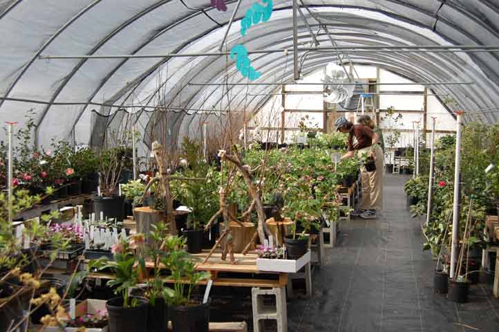 Gethsemane Gardens Nursery Greensboro Farmers Curb Market