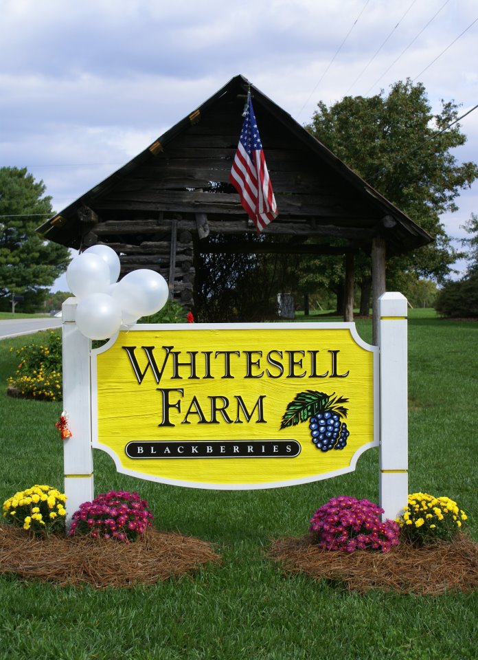 Whitesell Farm Greensboro Farmers Curb Market