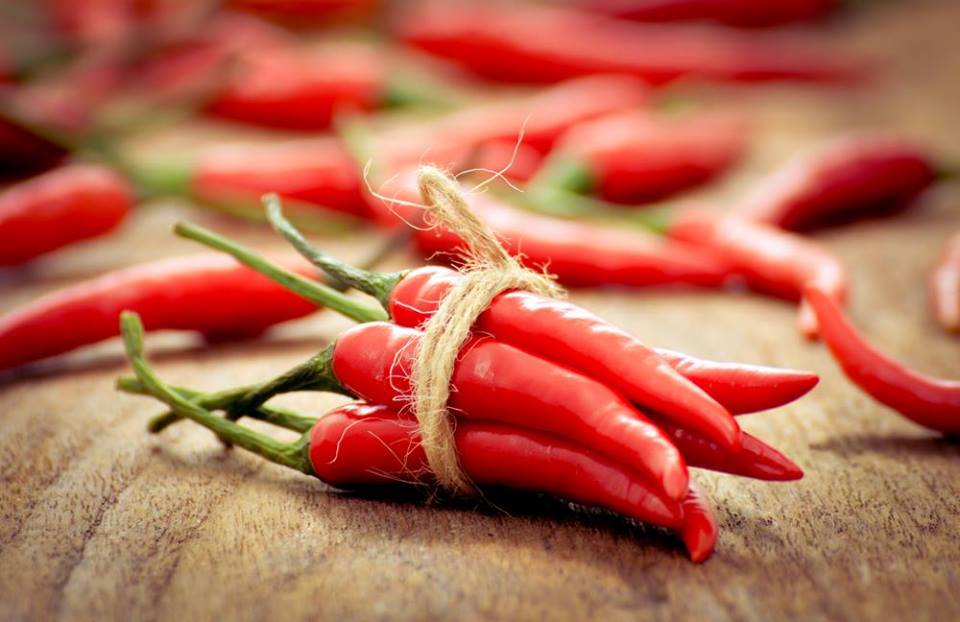 Annual Chili Fundraiser is Saturday, January 26th, 9 am – noon