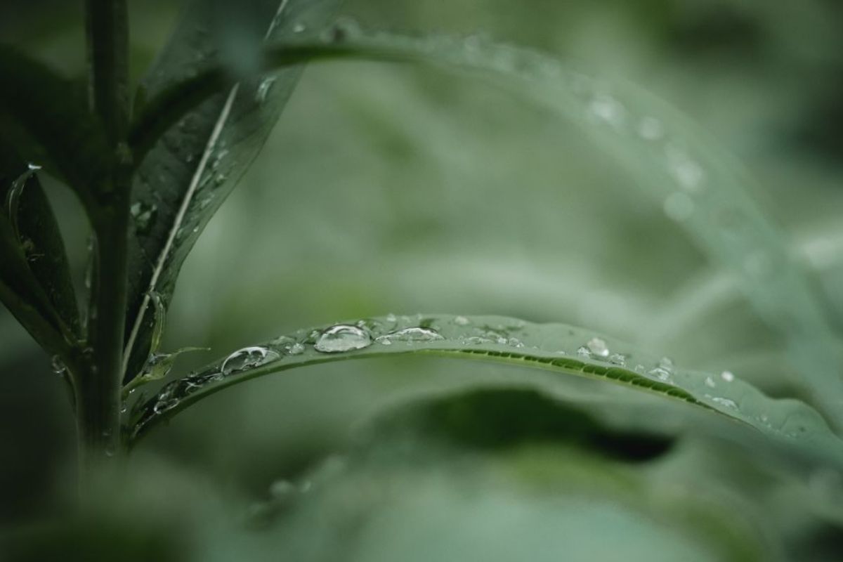 An Ode to the Farmers: Spring Plantings Follow Relentless Rains